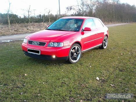 Audi A3 billede 11