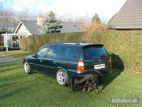 Opel Vectra B Wagon **Solgt** - Den nymonterede Irmscher Hæk spoiler og de nye vinter ruller. billede 11