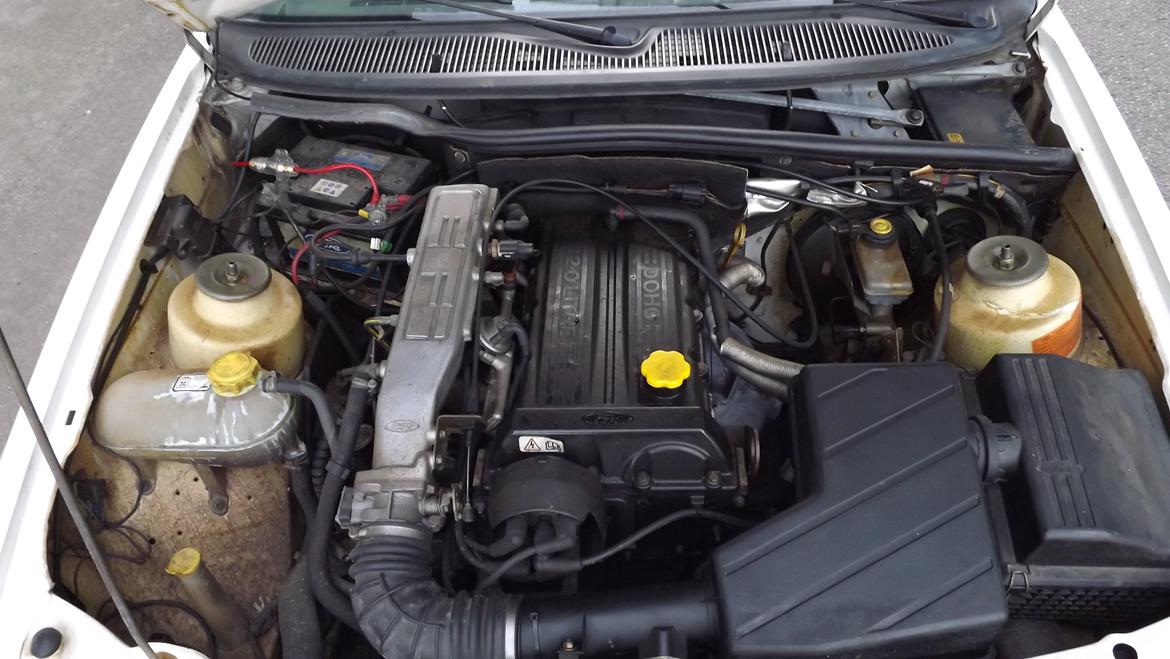 Ford Sierra 2.0i DOHC 8V - Motoreummet er efterfølgene blevet pudset lidt op. Det gulige er textyl. billede 17