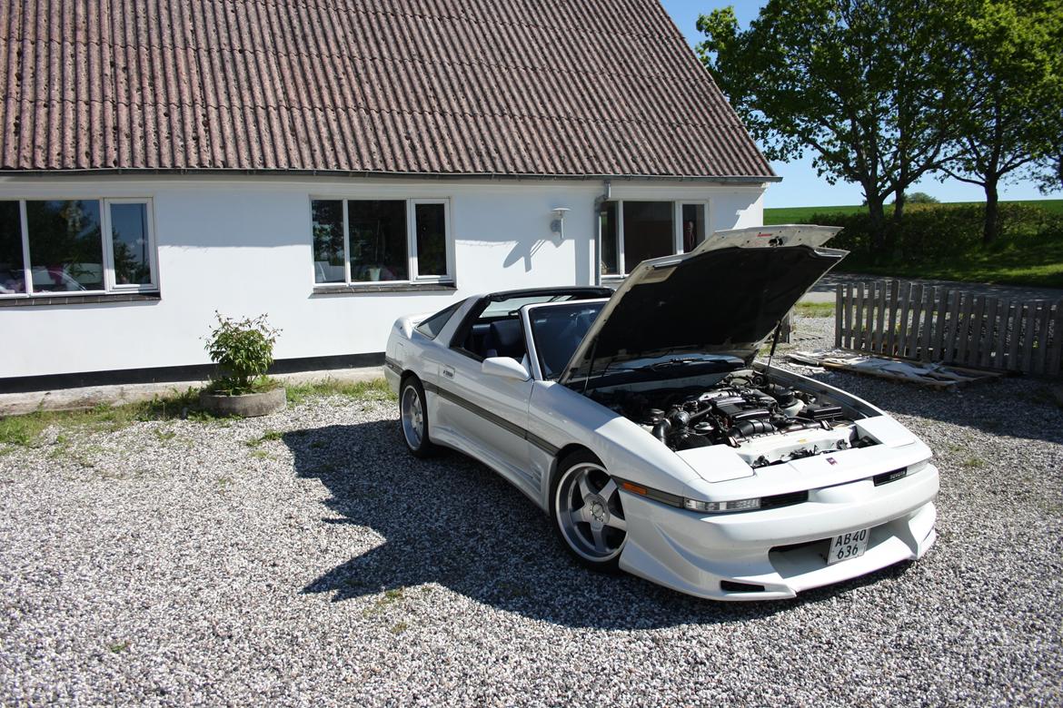 Toyota Supra Turbo Targa billede 2