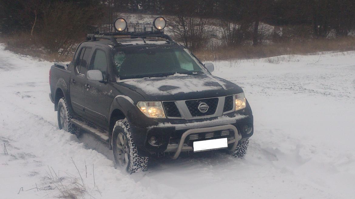 Nissan navara billede 1