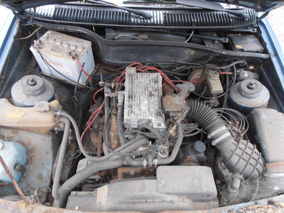 Ford Sierra XR4I MK1  SKROTTET PGA RUST billede 8