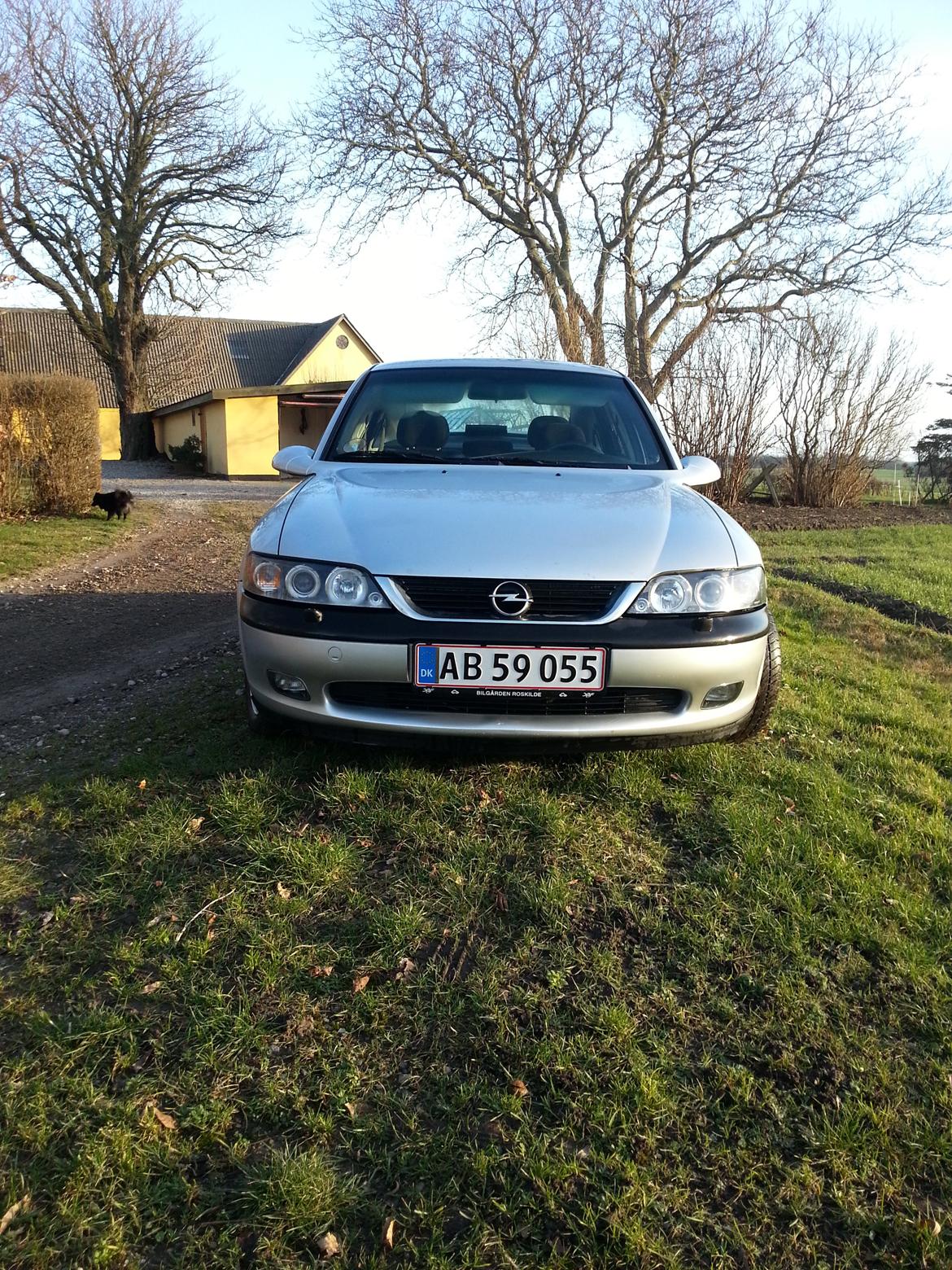 Opel Vectra B billede 5