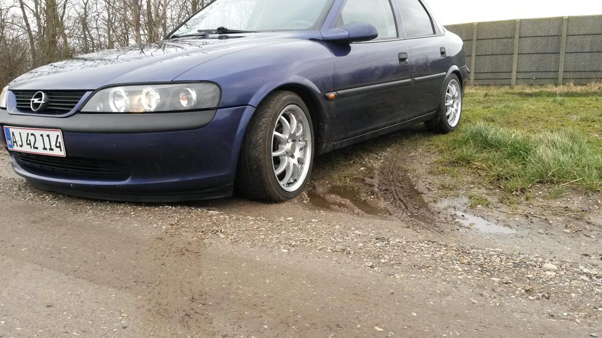 Opel Vectra B billede 11