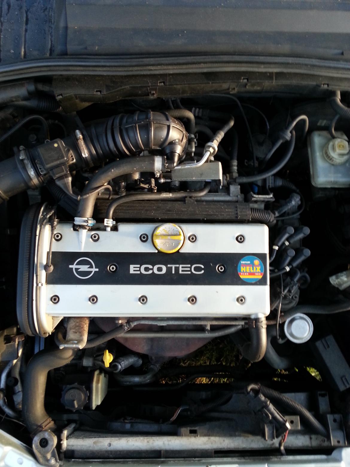 Opel Vectra B billede 11