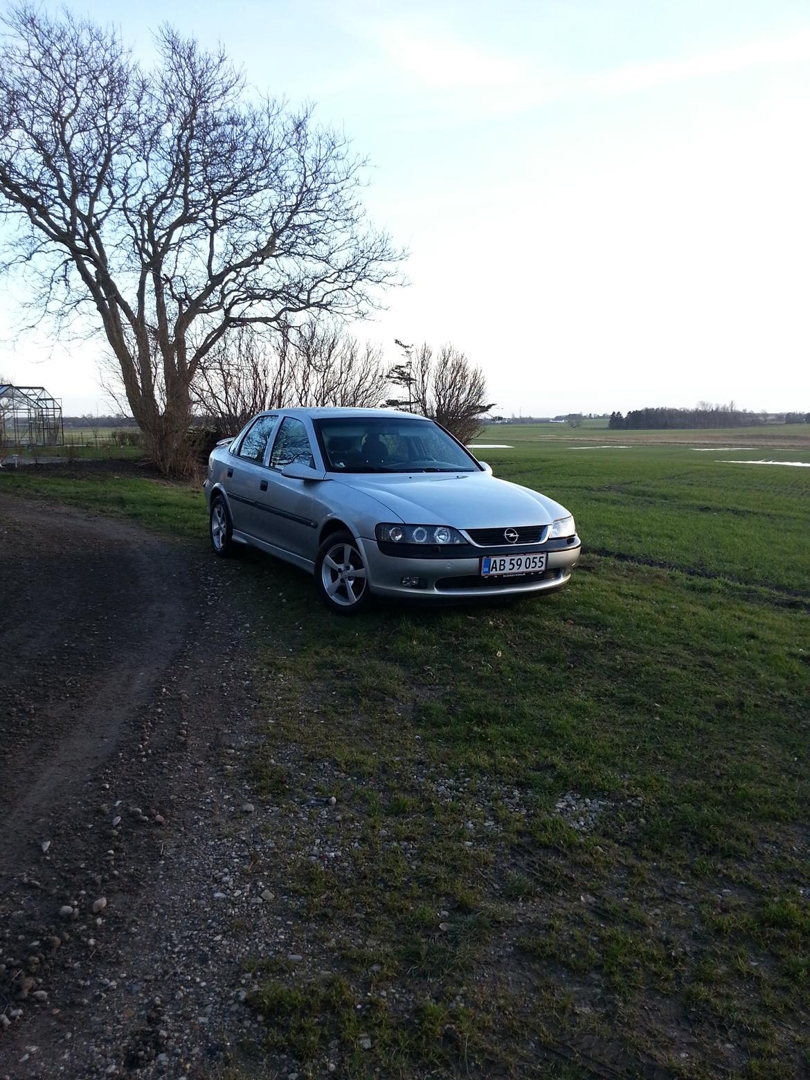 Opel Vectra B billede 1