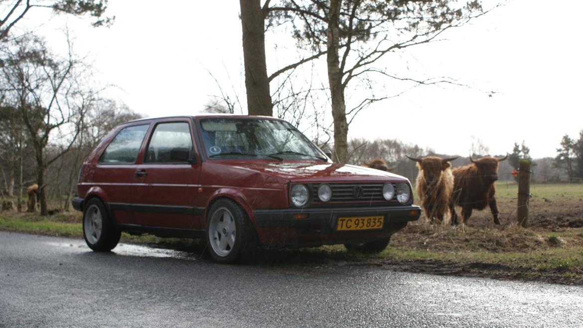 VW Golf 2 1,6 CL billede 16