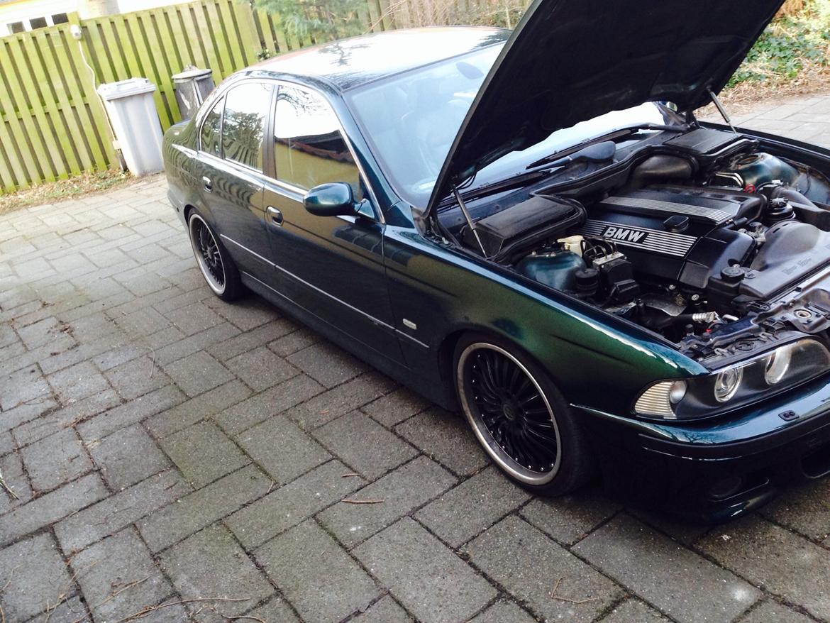 BMW E39 523i billede 2