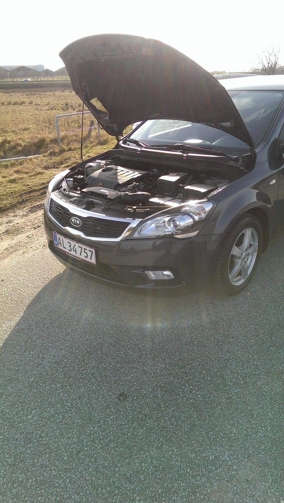 Kia Ceed SW billede 16