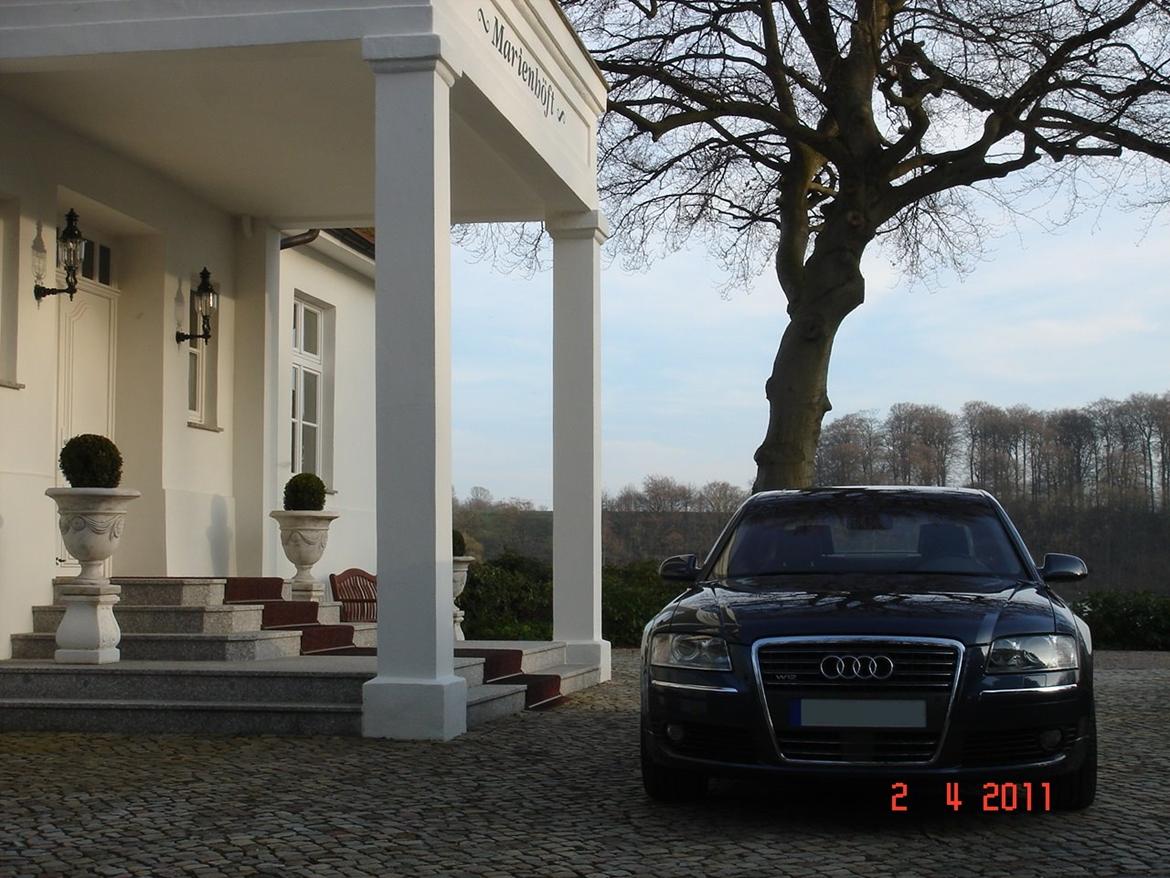 Audi A8 L 6.0 W12 Quattro billede 3