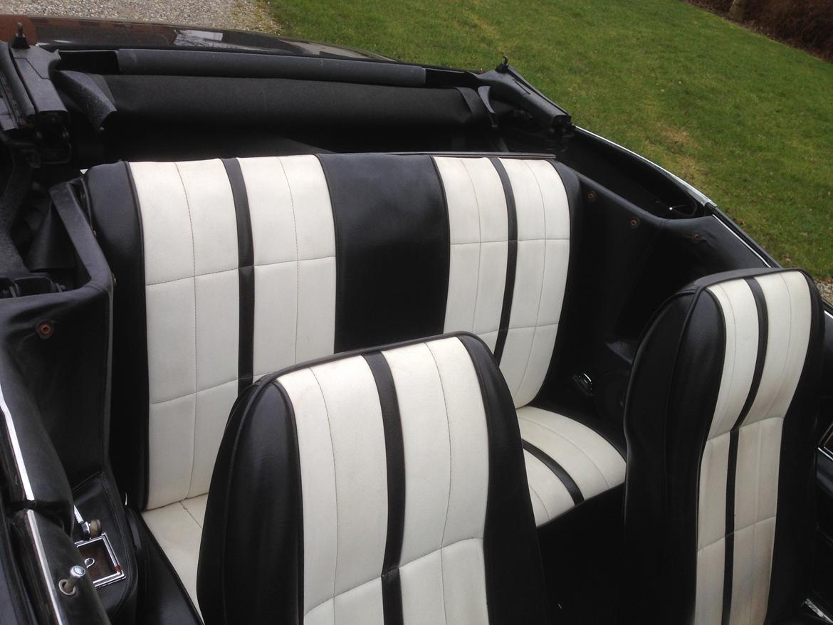 Ford Mustang Cabriolet billede 4