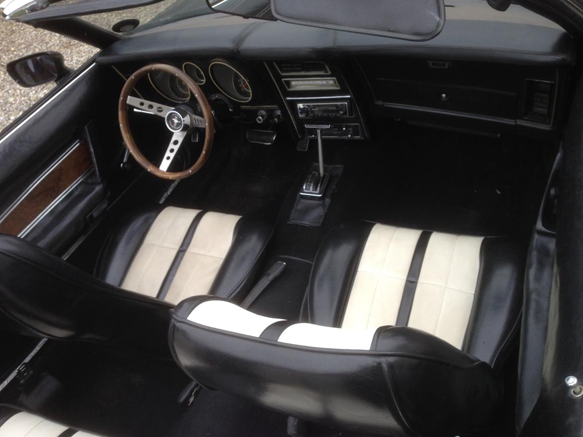 Ford Mustang Cabriolet billede 11