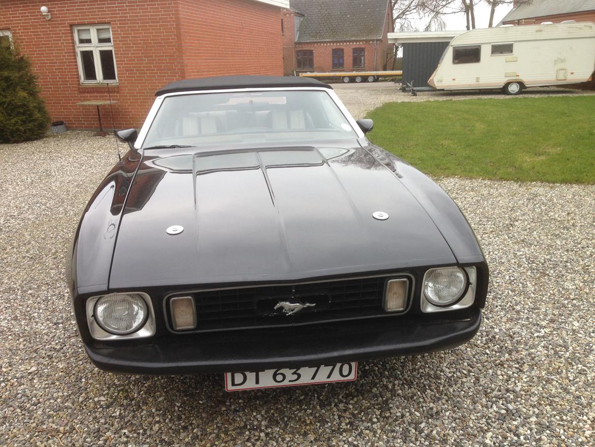 Ford Mustang Cabriolet billede 14