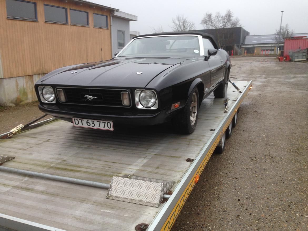 Ford Mustang Cabriolet billede 17