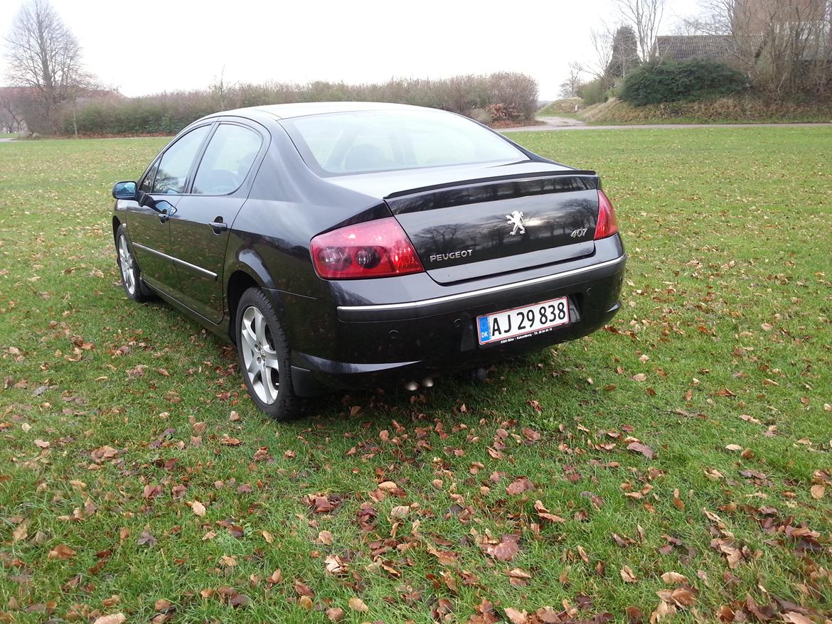 Peugeot 407 billede 2