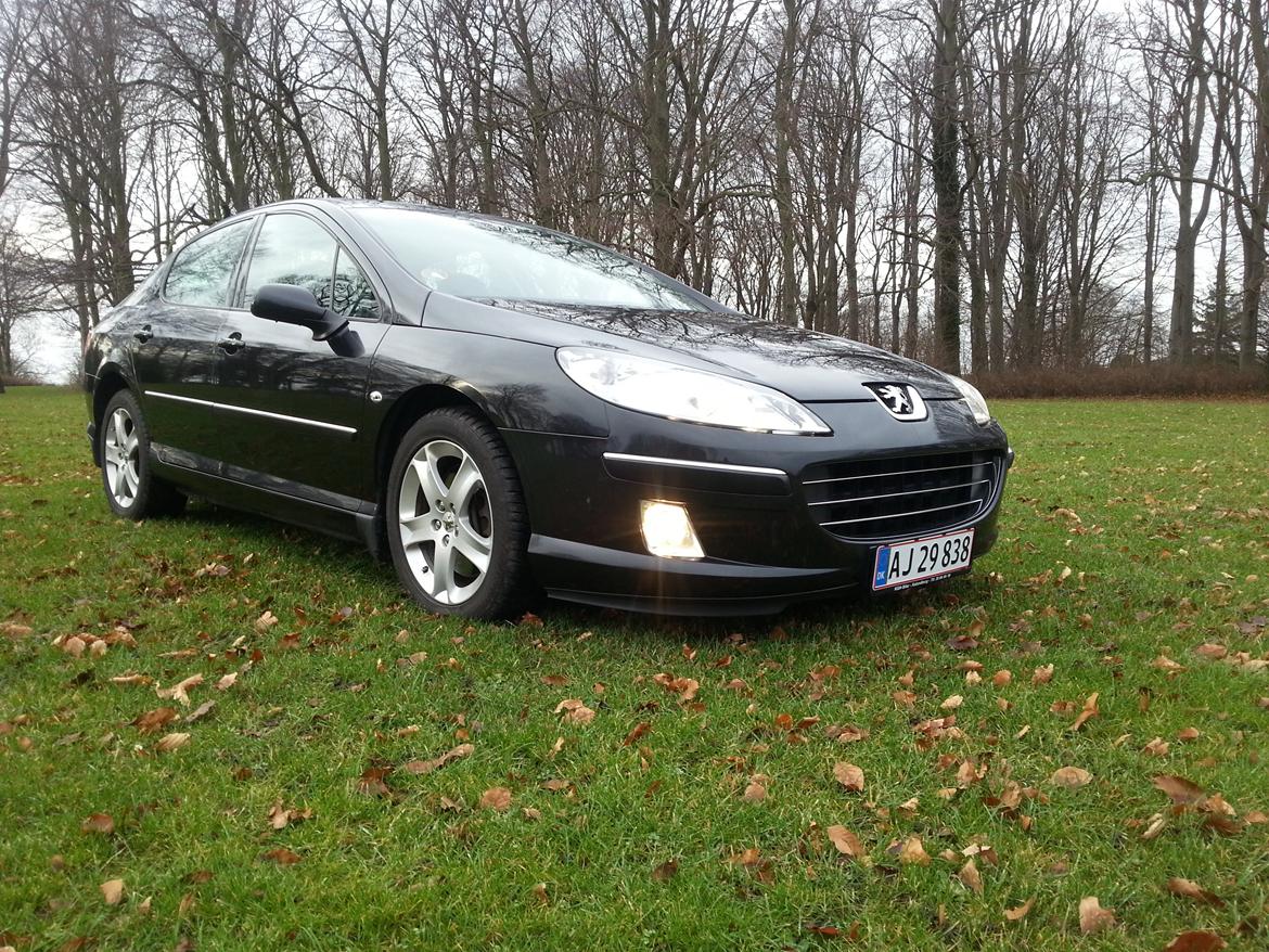 Peugeot 407 billede 1