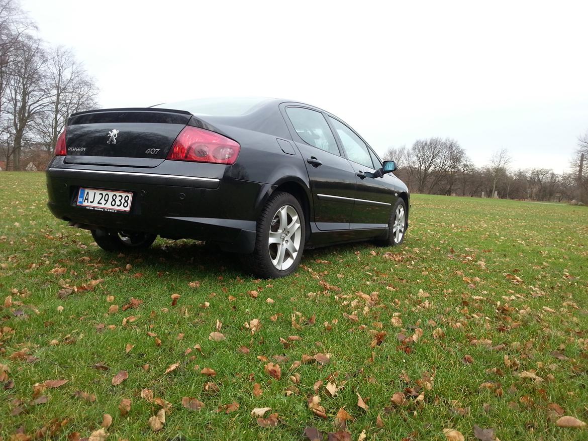 Peugeot 407 billede 7