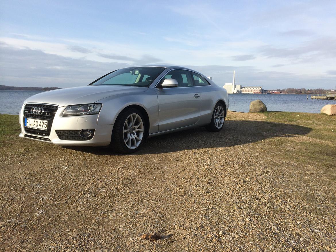 Audi A5 3.0 V6 Quattro billede 2