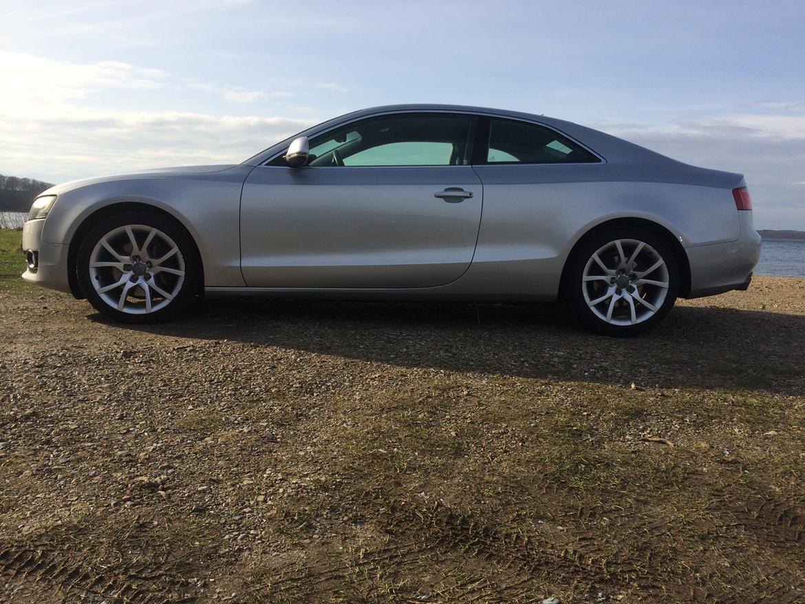 Audi A5 3.0 V6 Quattro billede 3