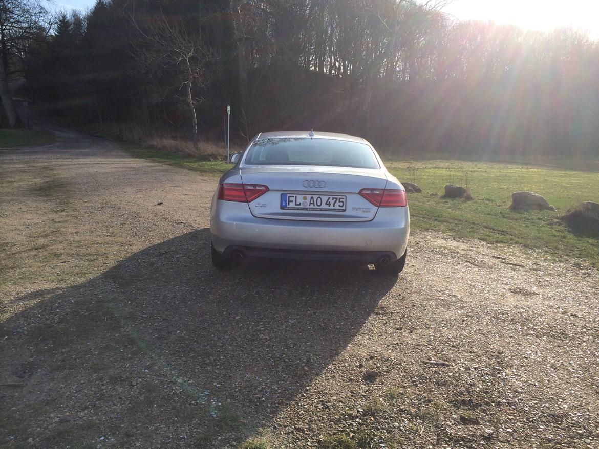 Audi A5 3.0 V6 Quattro billede 5