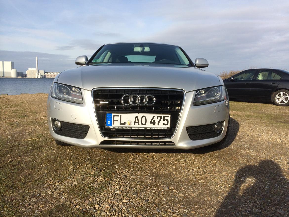 Audi A5 3.0 V6 Quattro billede 6