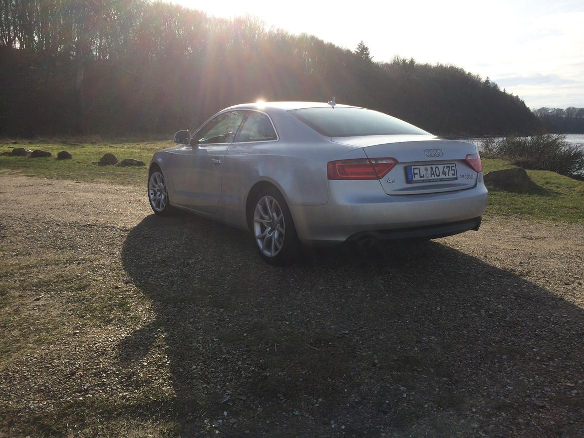 Audi A5 3.0 V6 Quattro billede 4