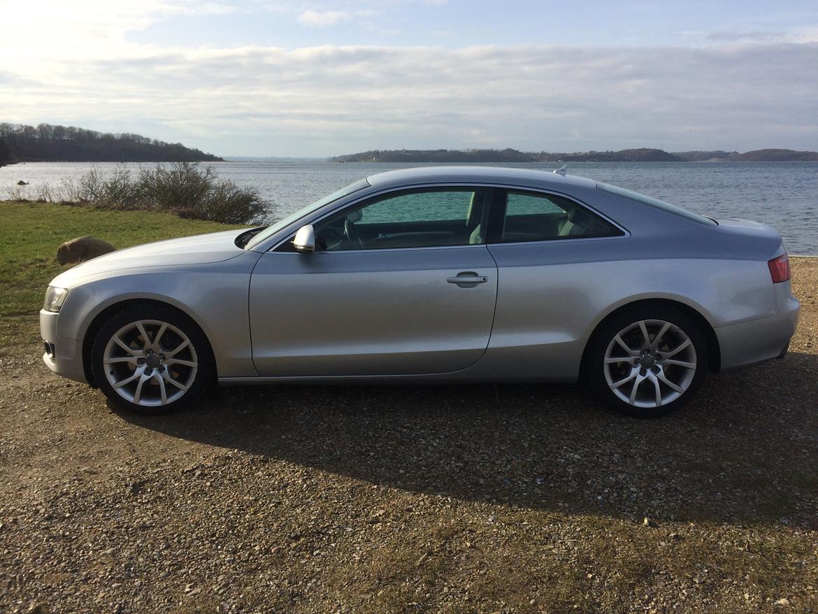 Audi A5 3.0 V6 Quattro billede 8