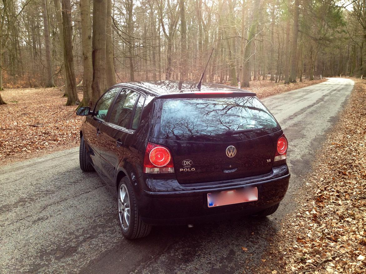VW polo 9n3 1.6 billede 8