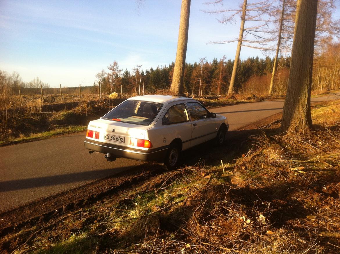 Ford Sierra 2,0 L billede 8