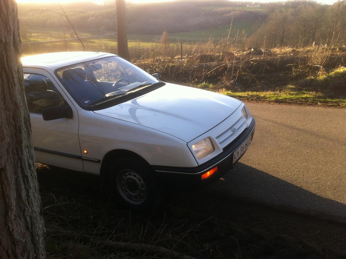 Ford Sierra 2,0 L billede 13