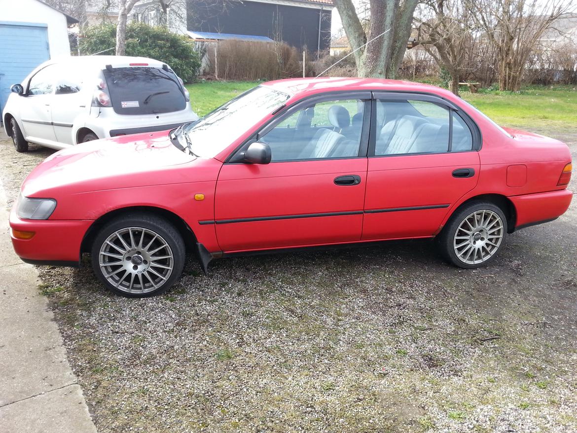 Toyota Corolla XLI billede 1