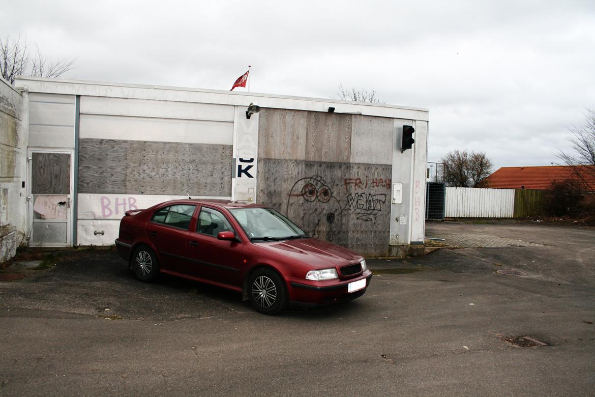 Skoda Octavia 1,6 8v ( ODA ) ( TIL SALG) billede 3