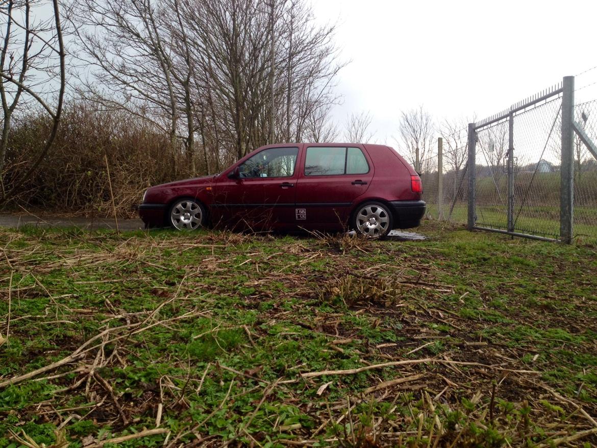 VW Golf 3 TD billede 2