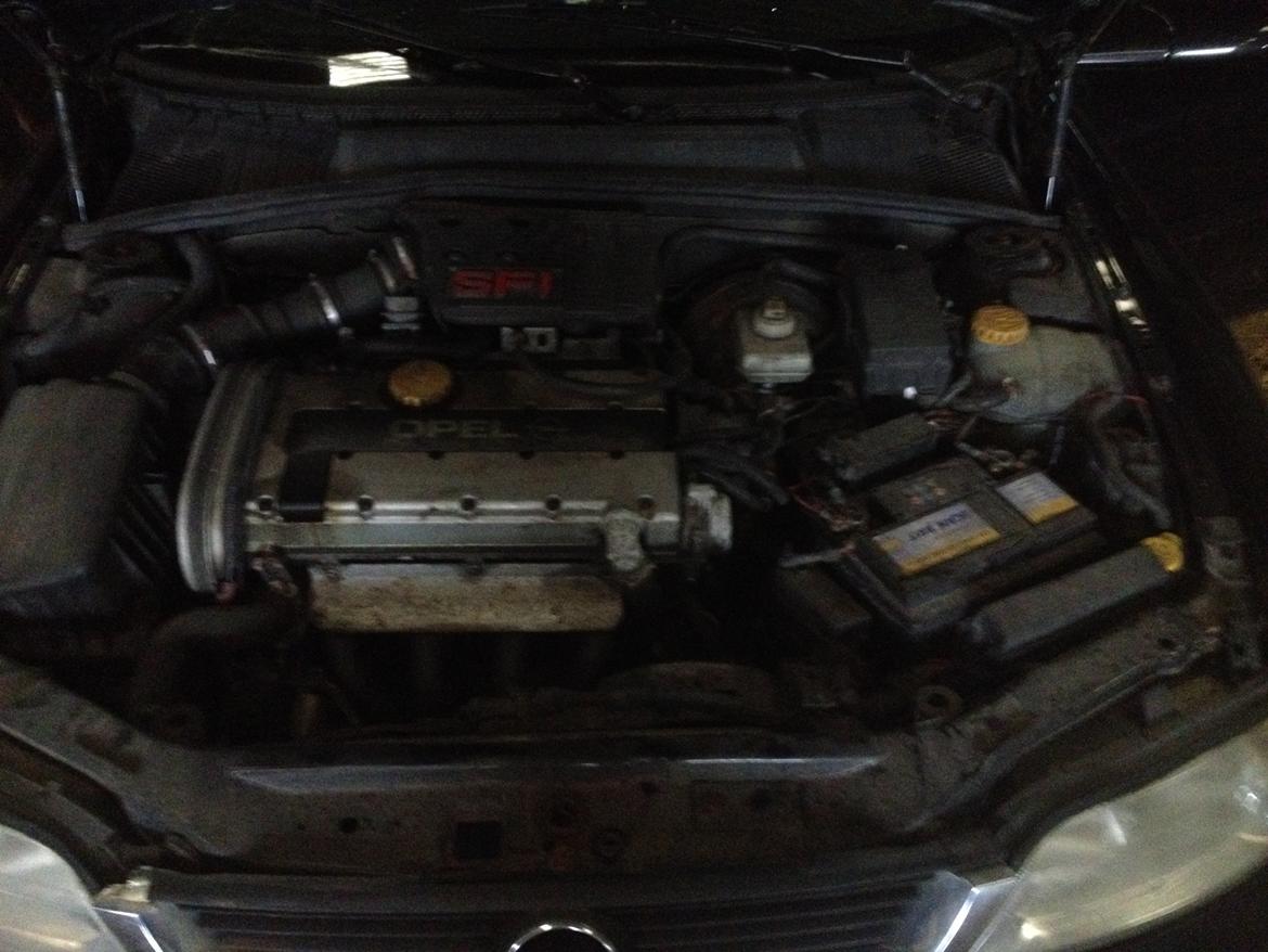 Opel Vectra B 2,0 ((Skrottet)) billede 14