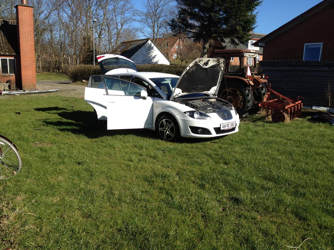 Seat Leon Copa Style billede 12