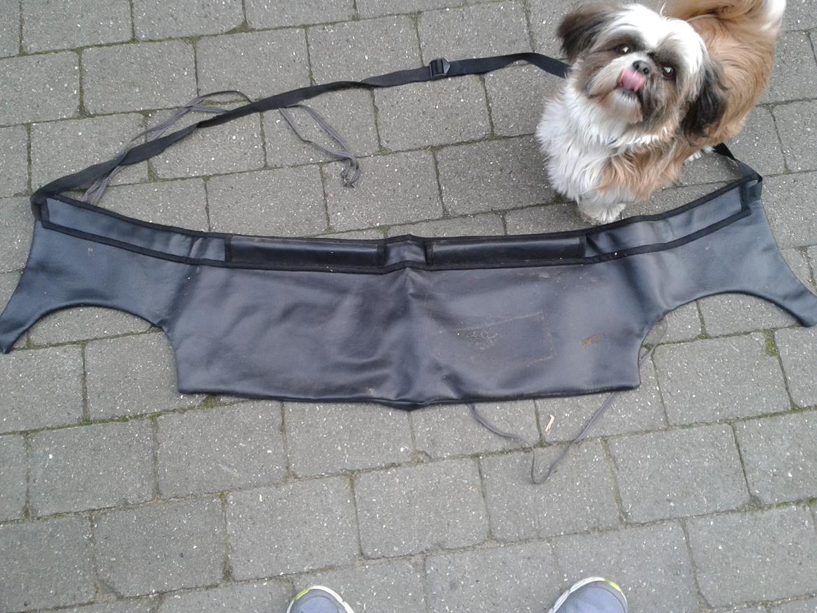 Renault Ultra Lav Twingo billede 18