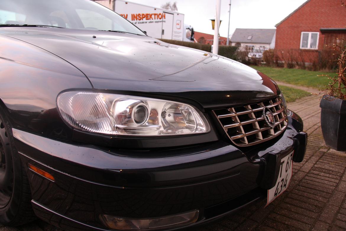 Opel Omega MV6 billede 1