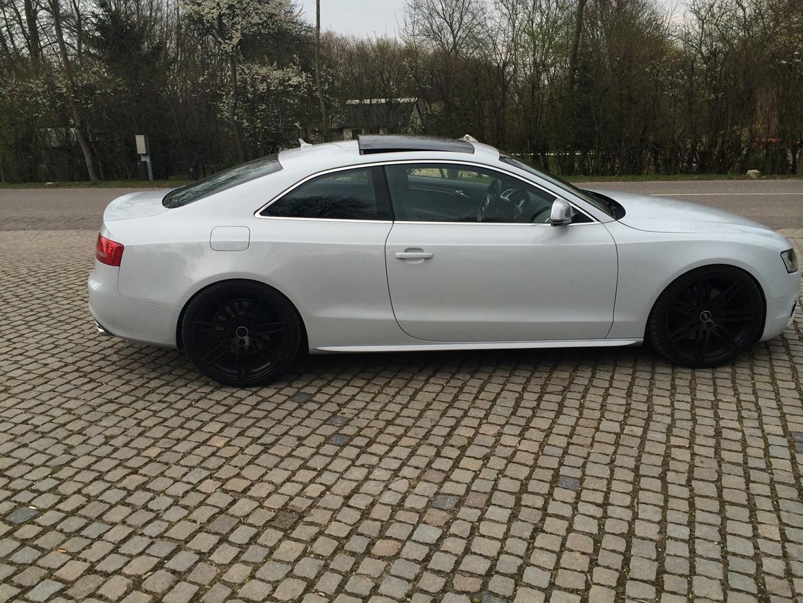 Audi S5 4.2 FSI V8 Quattro TipTronic billede 13