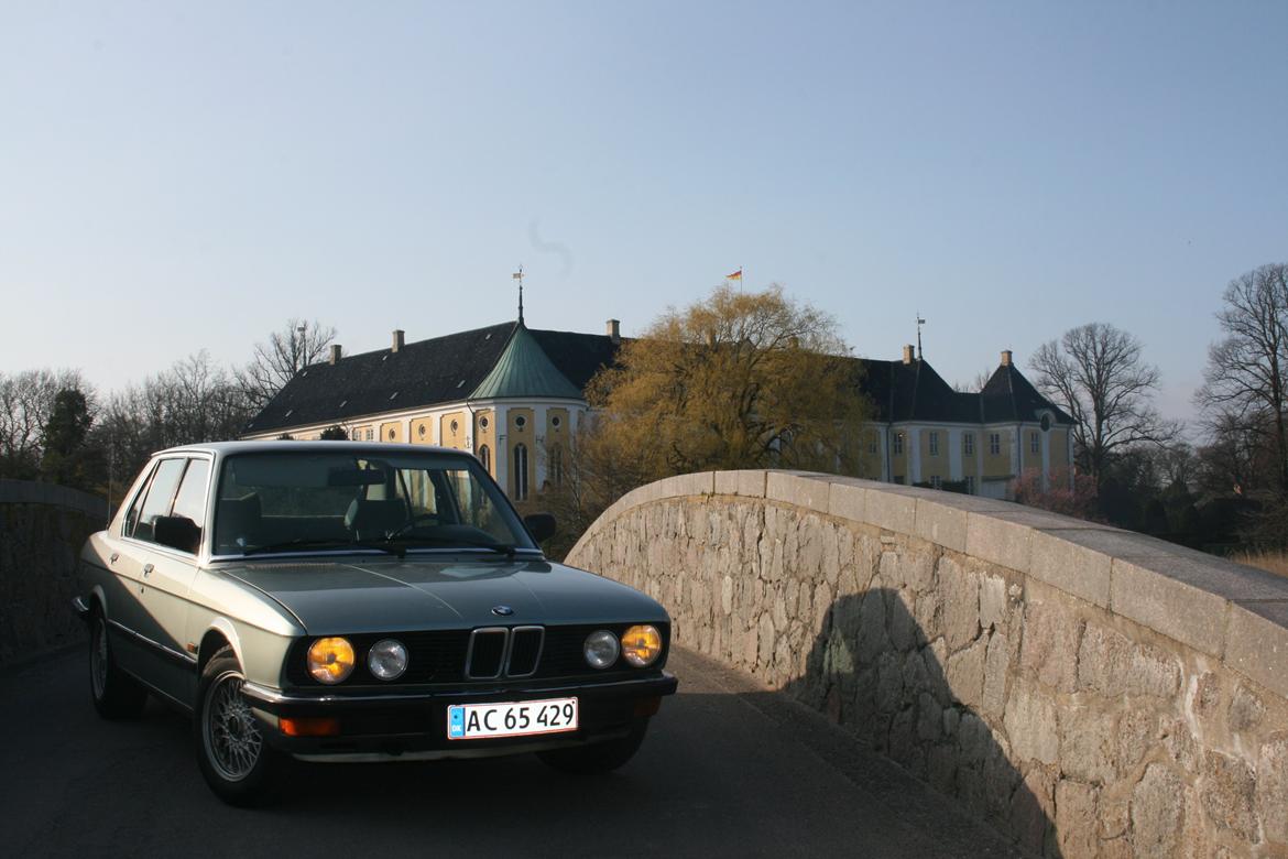 BMW 525 ETA e28 billede 2