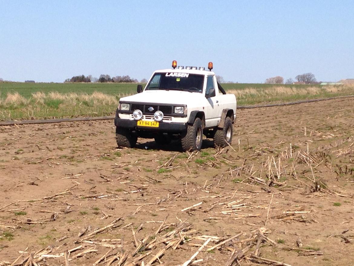 Nissan Patrol Y260 TD billede 24
