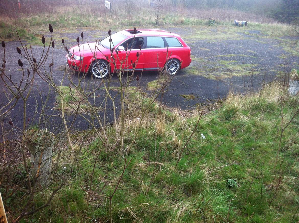 Audi S4 4,2 V8 Quattro Avant billede 29