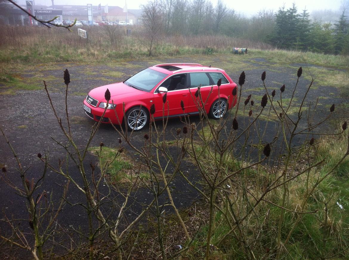 Audi S4 4,2 V8 Quattro Avant billede 30