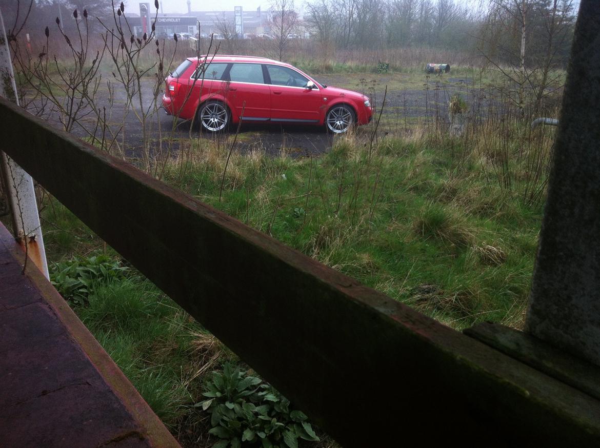 Audi S4 4,2 V8 Quattro Avant billede 32