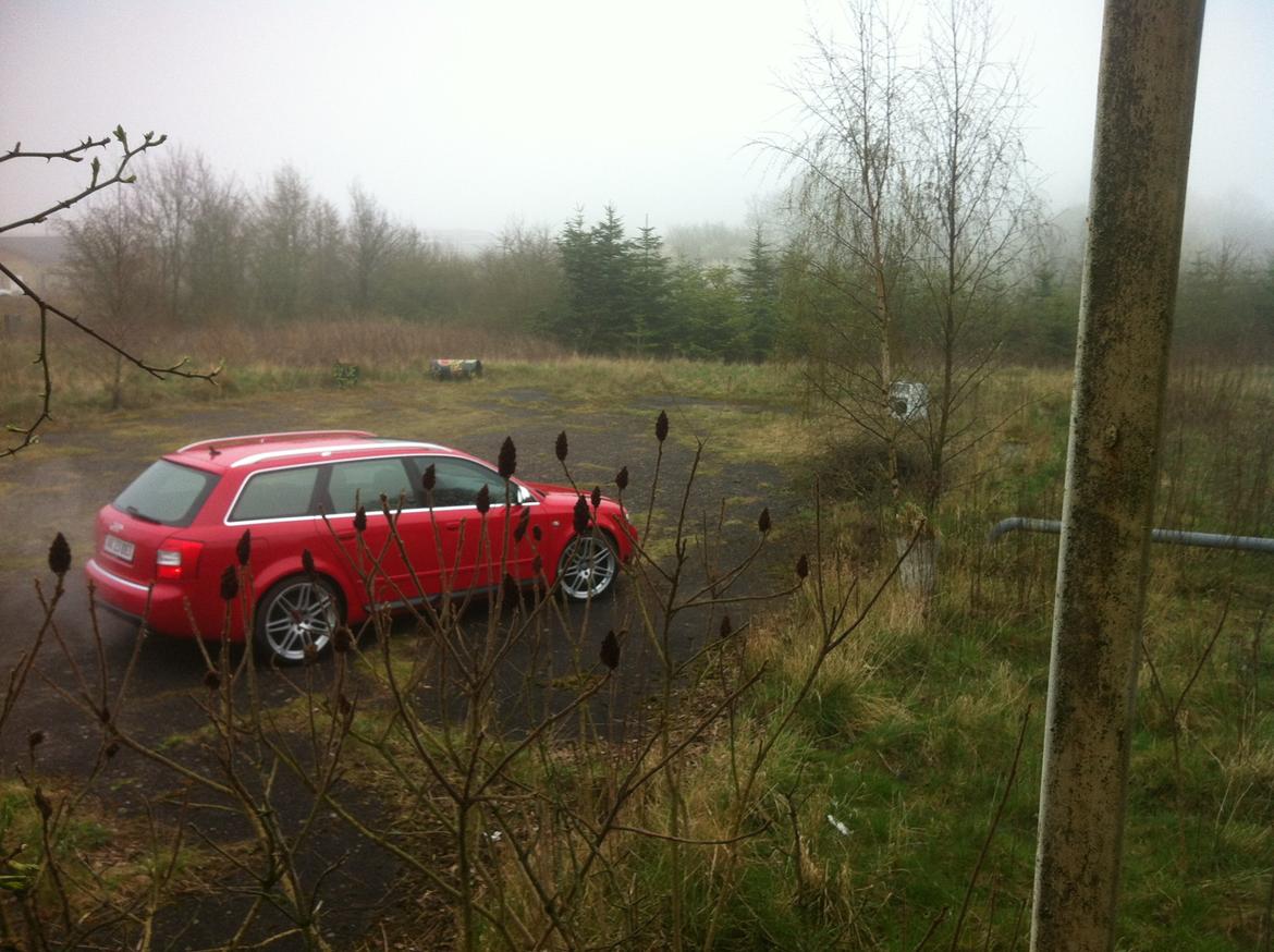 Audi S4 4,2 V8 Quattro Avant billede 33