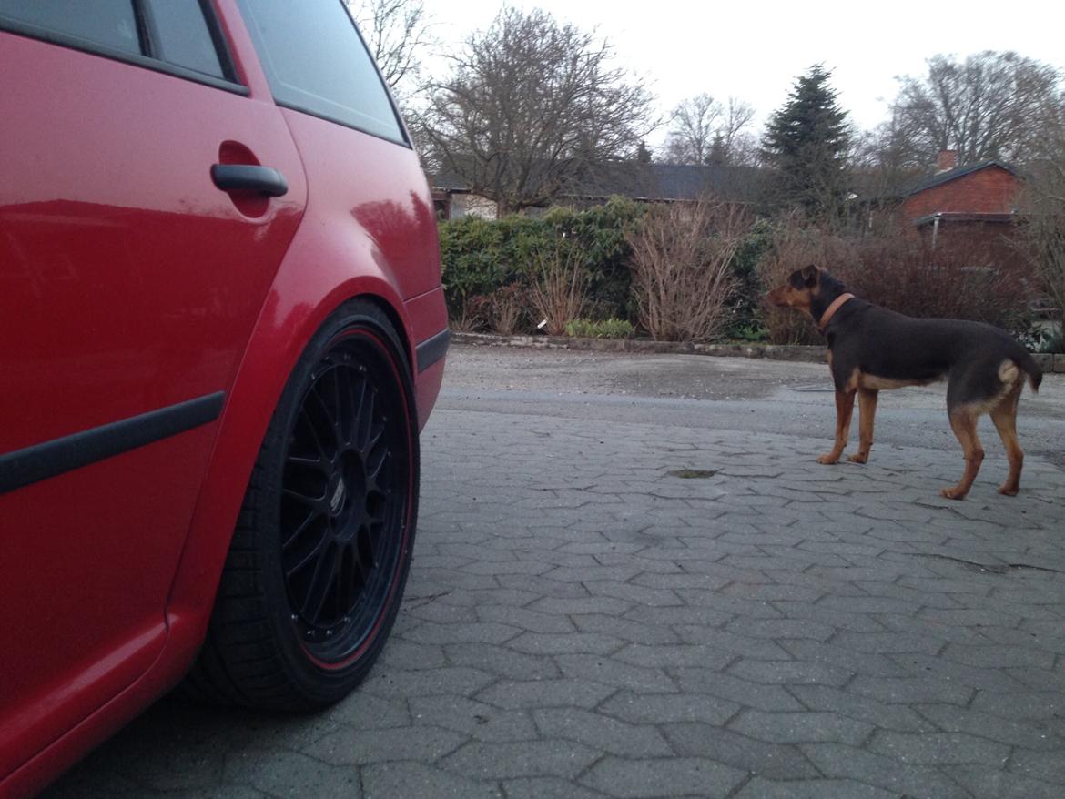 VW Golf 4 variant billede 4