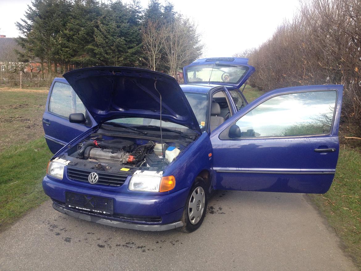 VW Polo 6n billede 5