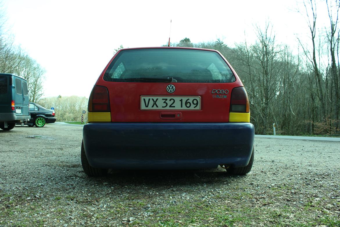 VW Polo 6n Harlekin billede 7