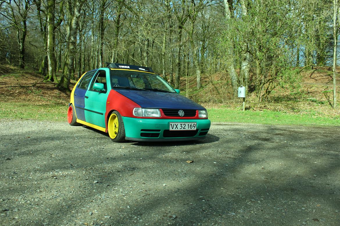 VW Polo 6n Harlekin billede 9