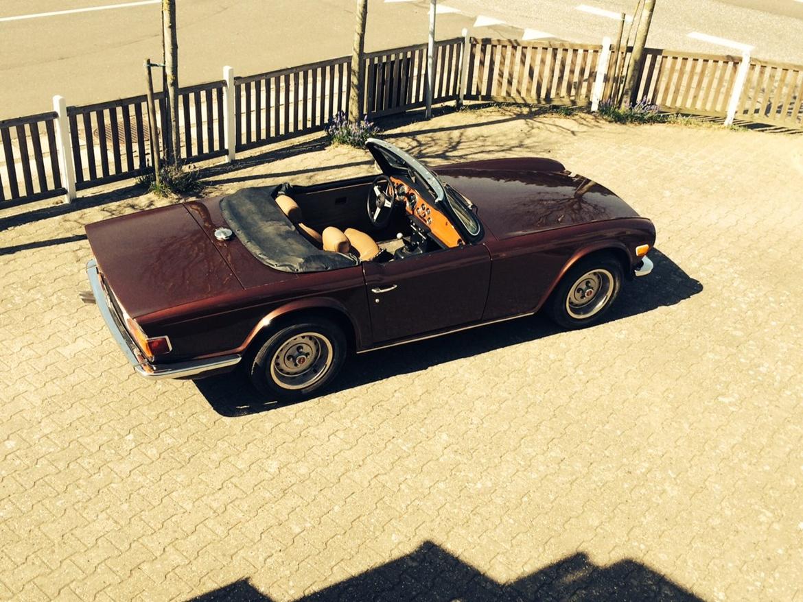 Triumph TR6 2,5 Overdrive billede 3