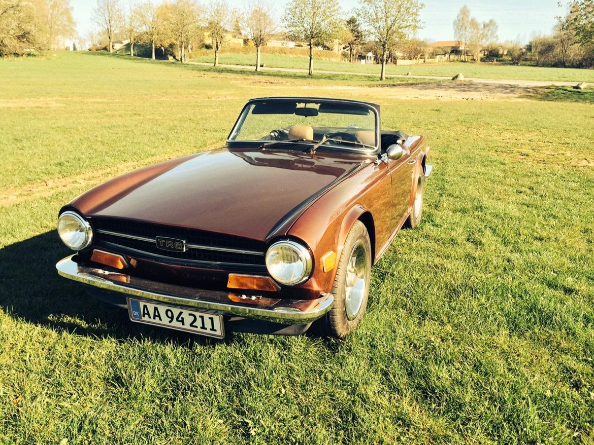 Triumph TR6 2,5 Overdrive billede 8